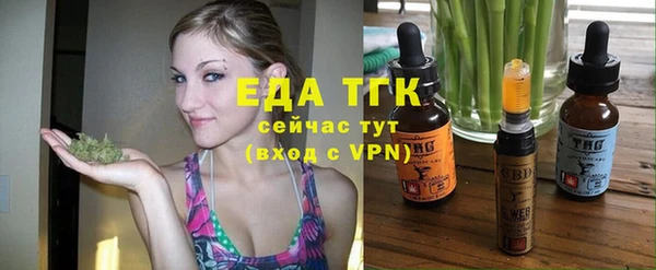 дживик Богородицк