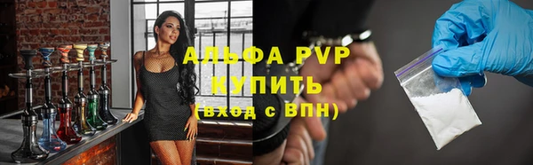 спиды Богданович