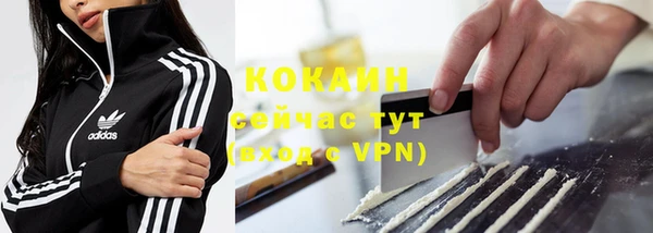 дживик Богородицк