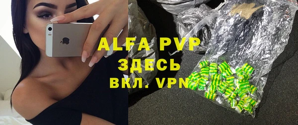 дживик Богородицк