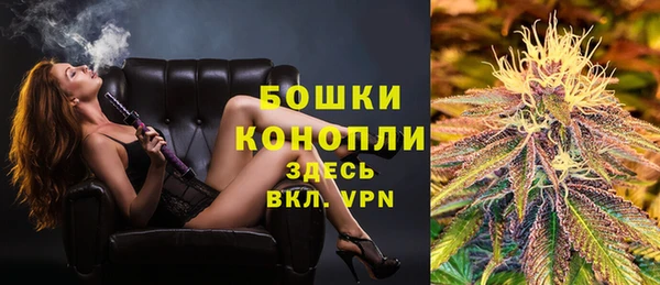спиды Богданович
