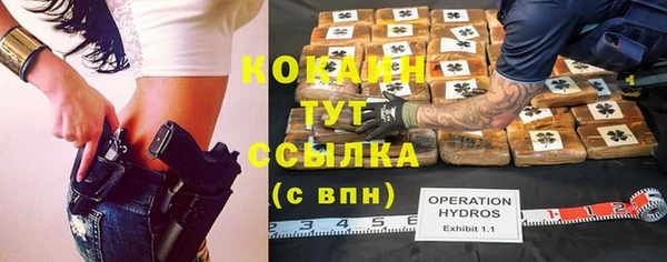 дживик Богородицк