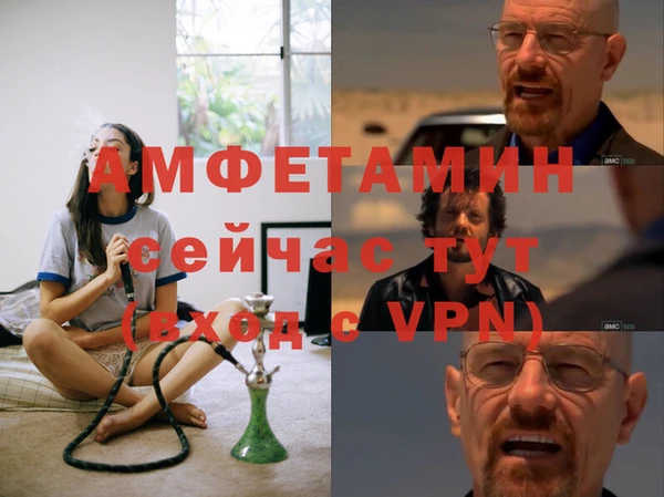 спиды Богданович