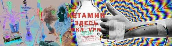 спиды Богданович