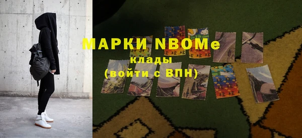 дживик Богородицк