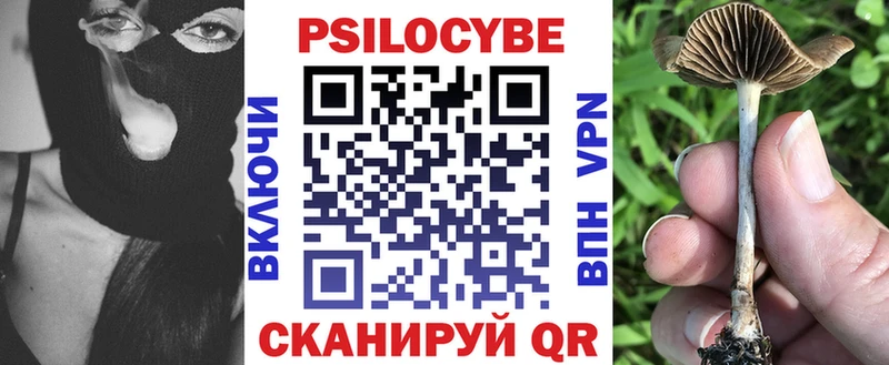 купить   Пенза  Псилоцибиновые грибы мухоморы 